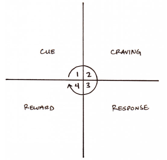 Cue Craving Response Reward diagram
